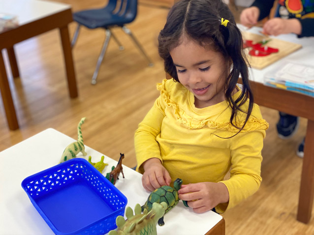 2 year old toddler Montessori program
